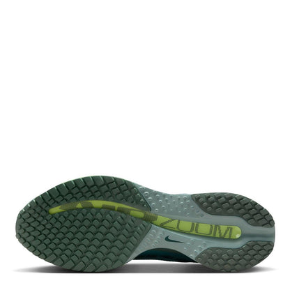 Nike Pegasus Premium